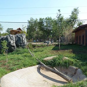 Toyota Elephant Passage - Sarus Crane Exhibit