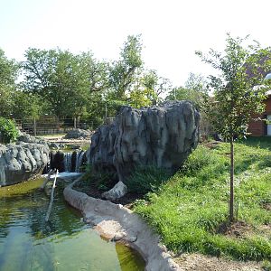 Toyota Elephant Passage - Sarus Crane Exhibit