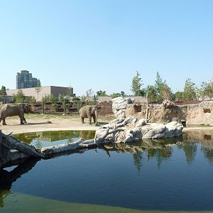 Toyota Elephant Passage - Rotational Exhibit