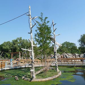 Toyota Elephant Passage - Gibbon Island