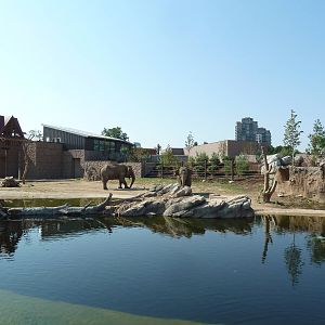 Toyota Elephant Passage - Rotational Exhibit