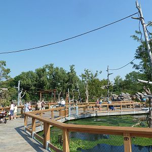 Toyota Elephant Passage - Gibbon Islands