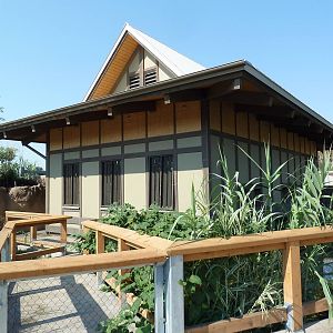 Toyota Elephant Passage - Gibbon House