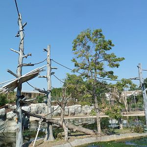 Toyota Elephant Passage - Gibbon Island