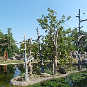 Toyota Elephant Passage - Gibbon Island