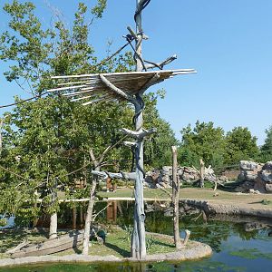 Toyota Elephant Passage - Gibbon Island + Rhino