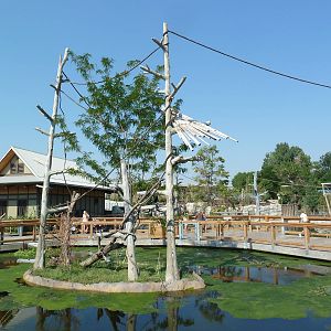 Toyota Elephant Passage - Gibbon Island + House