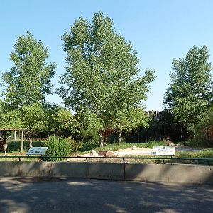 Okapi/Secretary Bird/Saddle-Billed Stork Exhibit