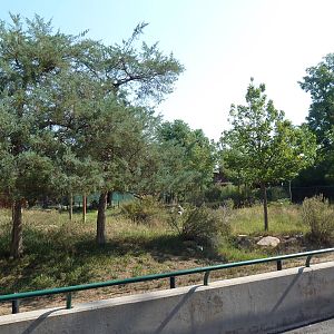 Okapi/Secretary Bird/Saddle-Billed Stork Exhibit