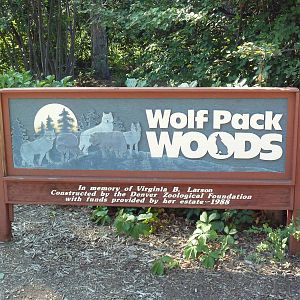 Wolf Pack Woods