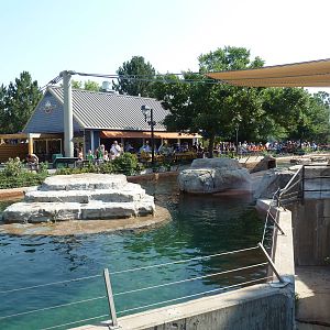Northern Shores - California Sea Lion Exhibit