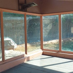 Northern Shores - Grizzly Bear Exhibit