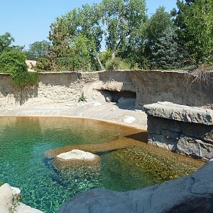 Northern Shores - Polar Bear Exhibit