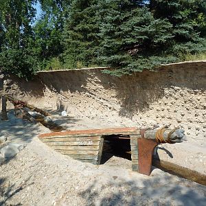 Northern Shores - Polar Bear Exhibit
