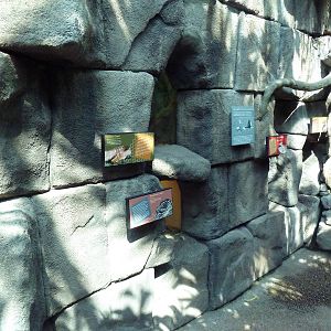 Tropical Discovery - Terrariums