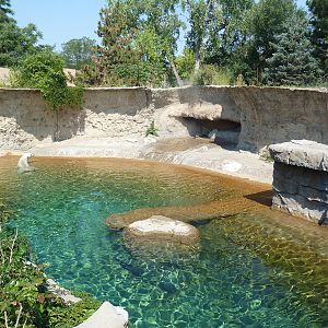 Northern Shores - Polar Bear Exhibit