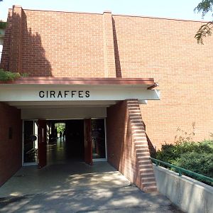 Reticulated Giraffe Barn