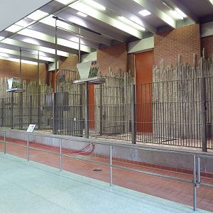 Reticulated Giraffe Barn