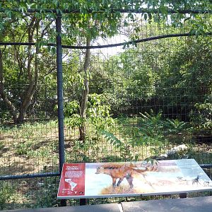 Maned Wolf Exhibit