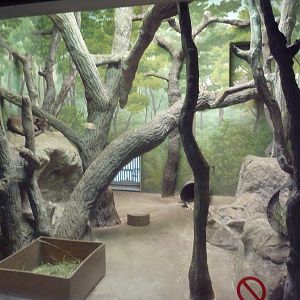 Fossa Indoor Exhibit