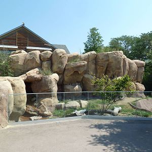 Predator Ridge - Kirk's Dik-Dik/Crowned Crane Exhibit