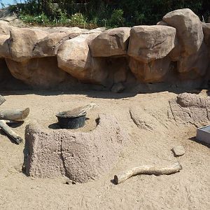 Predator Ridge - Banded Mongoose/African Crested Porcupine Exhibit