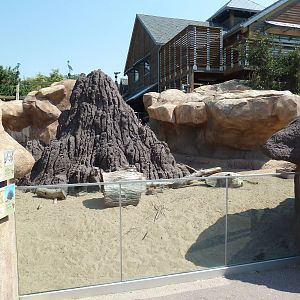 Predator Ridge - Banded Mongoose/African Crested Porcupine Exhibit