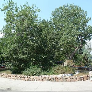 Monkey Island - Hooded Capuchin Monkey/Crested Screamer/Pelican Exhibit