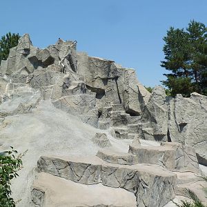 Sheep Mountain - Dall Sheep Exhibit