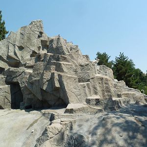 Sheep Mountain - Dall Sheep Exhibit
