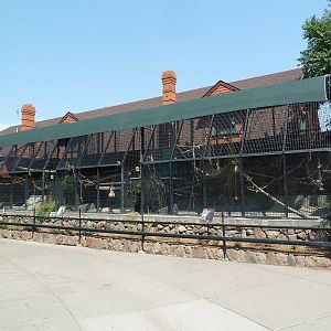 1908 Monkey House (Now Only 3 Species)