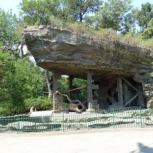 1918 Bear Mountain - Coati Exhibit