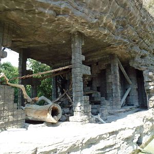 1918 Bear Mountain - Coati Exhibit