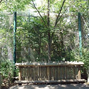 Primate Panorama - Squirrel Monkey Exhibit