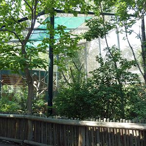 Primate Panorama - Spider Monkey/Giant Anteater Exhibit