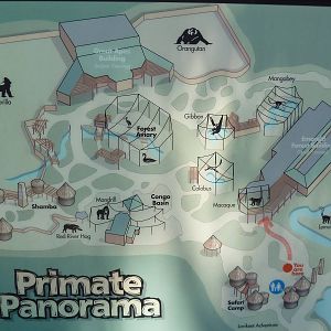 Primate Panorama - Map (7-Acres of Apes, Monkeys and Lemurs)