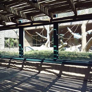 Primate Panorama - Black-Crested Macaque Exhibit