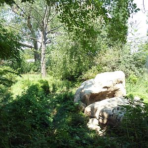 Primate Panorama - Orangutan Exhibit