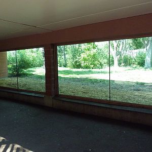 Primate Panorama - 1-Acre Gorilla Exhibit