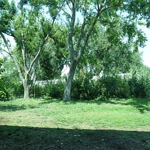 Primate Panorama - 1-Acre Gorilla Exhibit