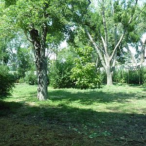 Primate Panorama - 1-Acre Gorilla Exhibit