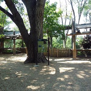 Primate Panorama - 1-Acre Gorilla Exhibit - Viewing Area