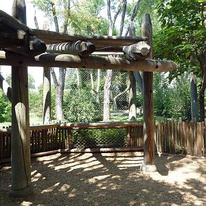 Primate Panorama - 1-Acre Gorilla Exhibit - Viewing Area