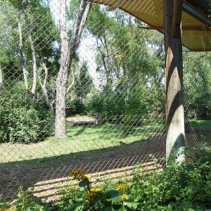 Primate Panorama - 1-Acre Gorilla Exhibit