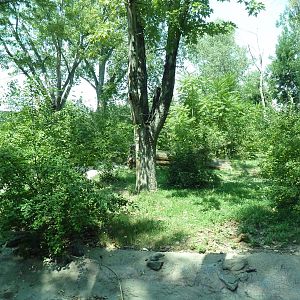 Primate Panorama - 1-Acre Gorilla Exhibit