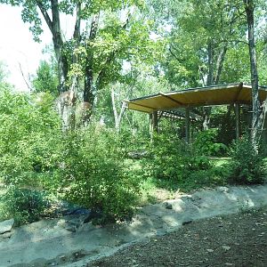 Primate Panorama - 1-Acre Gorilla Exhibit