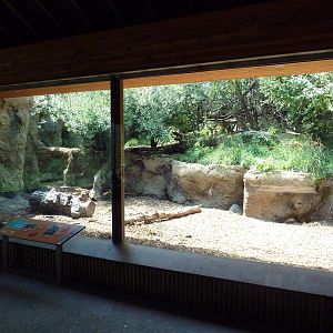 Primate Panorama - Mandrill Exhibit