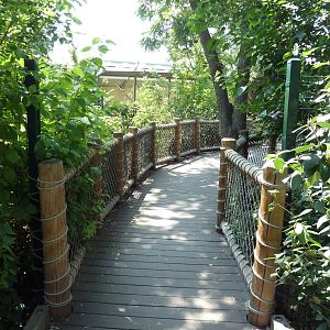 Nurture Trail - Visitor Walkway