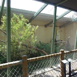 Nurture Trail - Red-Legged Seriema/Keel-Billed Toucan Exhibit