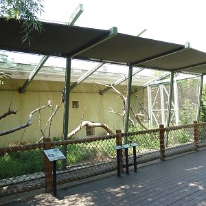 Nurture Trail Aviary